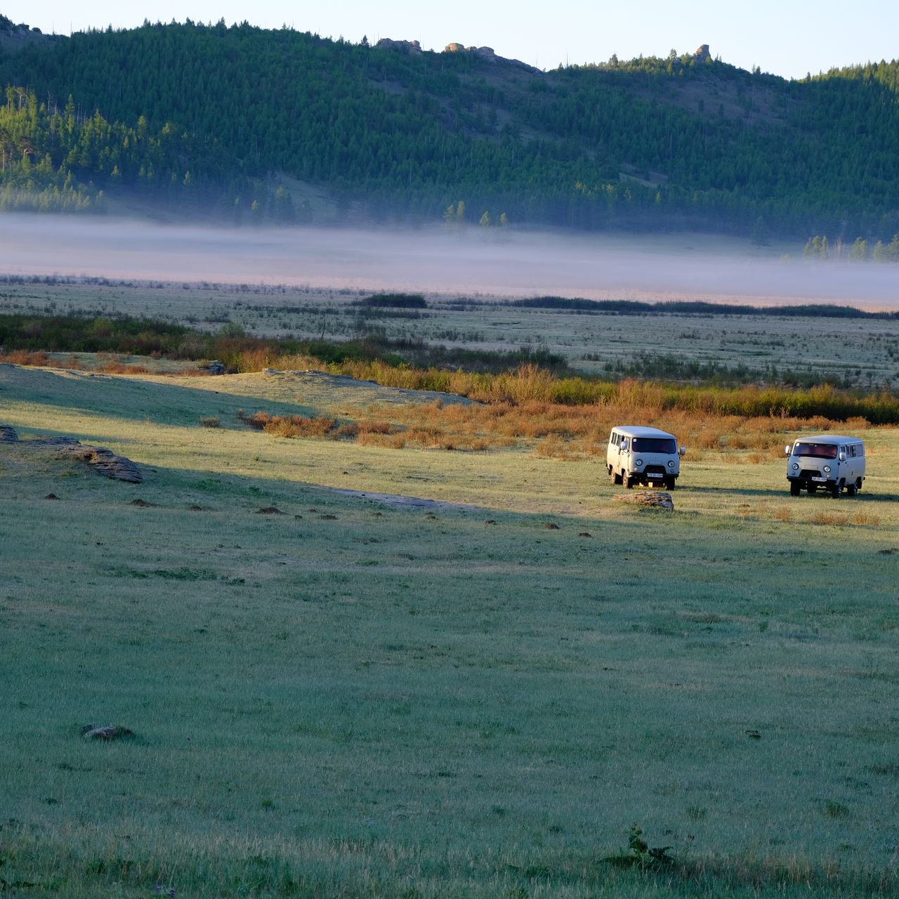 Picture of two UAZ buses in a field.