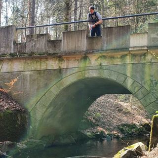 A man standing on a bridge with his upper body hanging over the bridge holdig a cable with a hydrophone into a small stream.